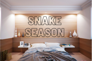 Read more about the article Caution! Snake Might Be Hiding In Your House.