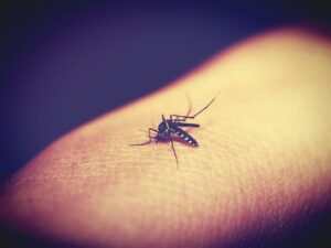 Read more about the article Malaria: Understanding the Disease, its Symptoms, and Prevention